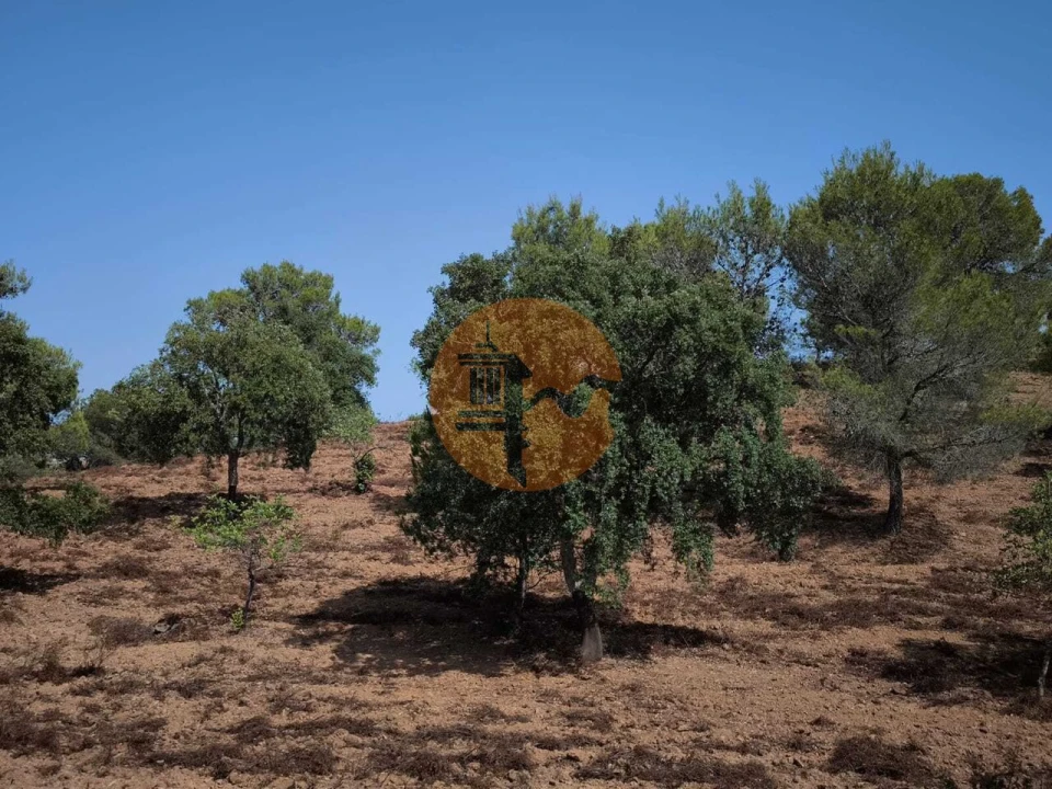 Terreno para Venda em Castro Marim Foto 10