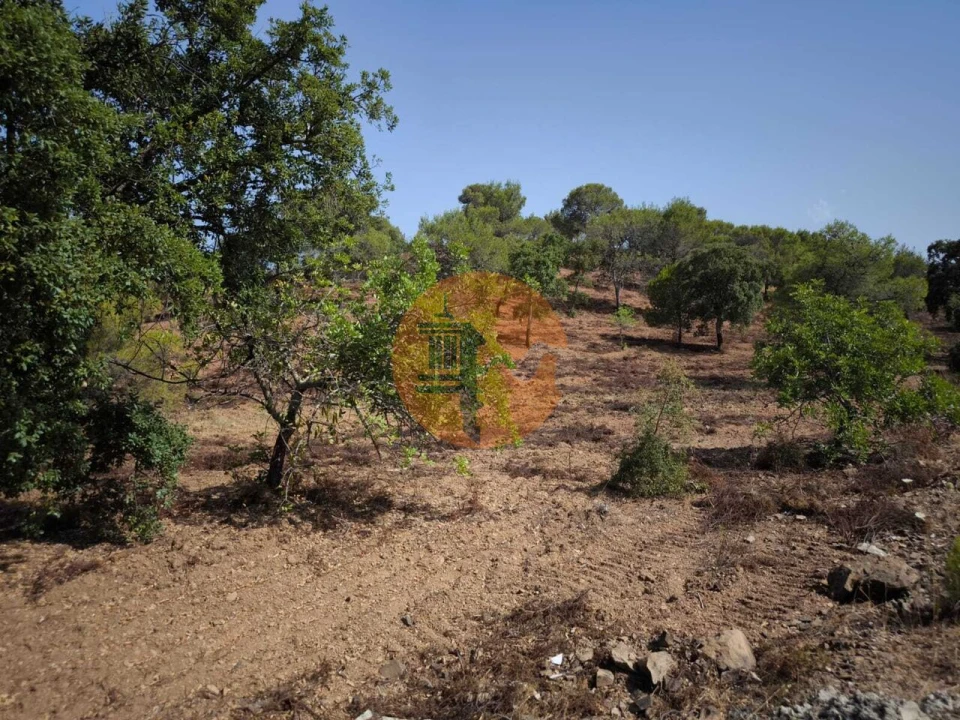 Terreno para Venda em Castro Marim Foto 11