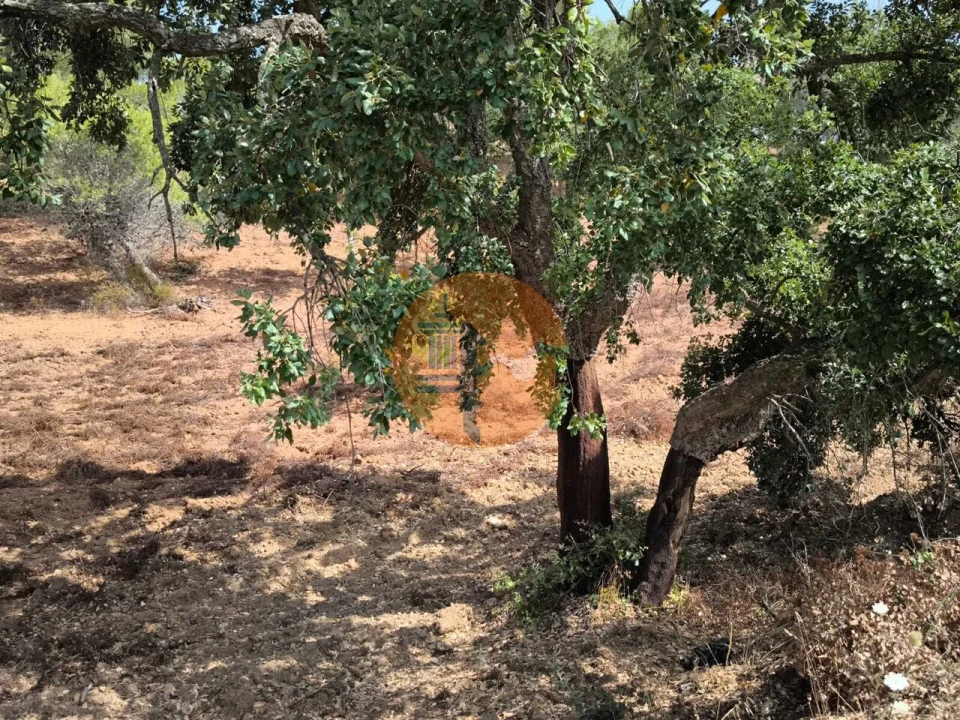 Terreno para Venda em Castro Marim Foto 24
