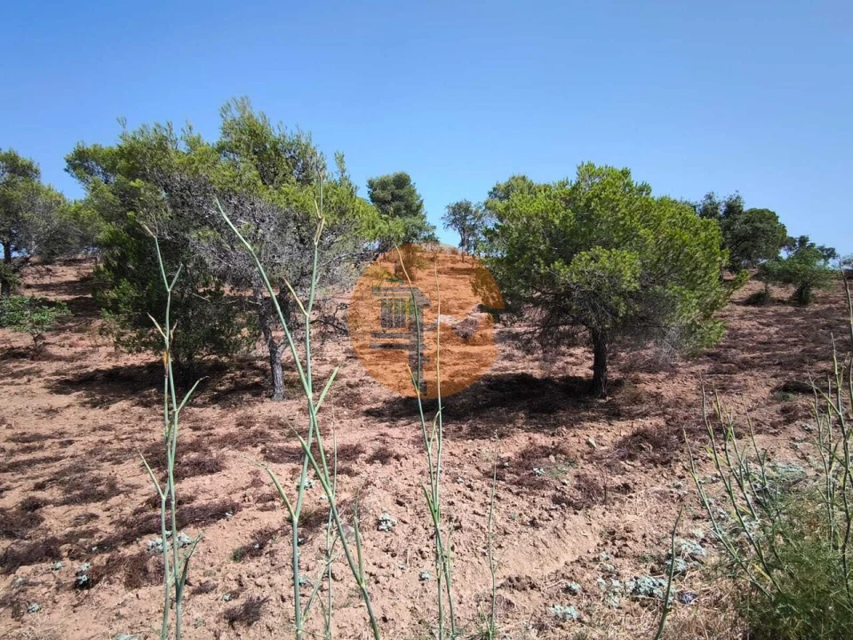 Terreno para Venda em Castro Marim Foto 37