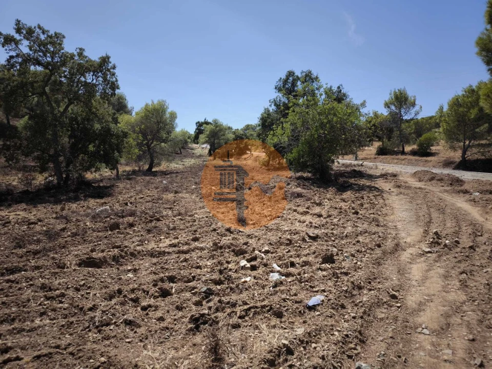 Terreno para Venda em Castro Marim Foto 6