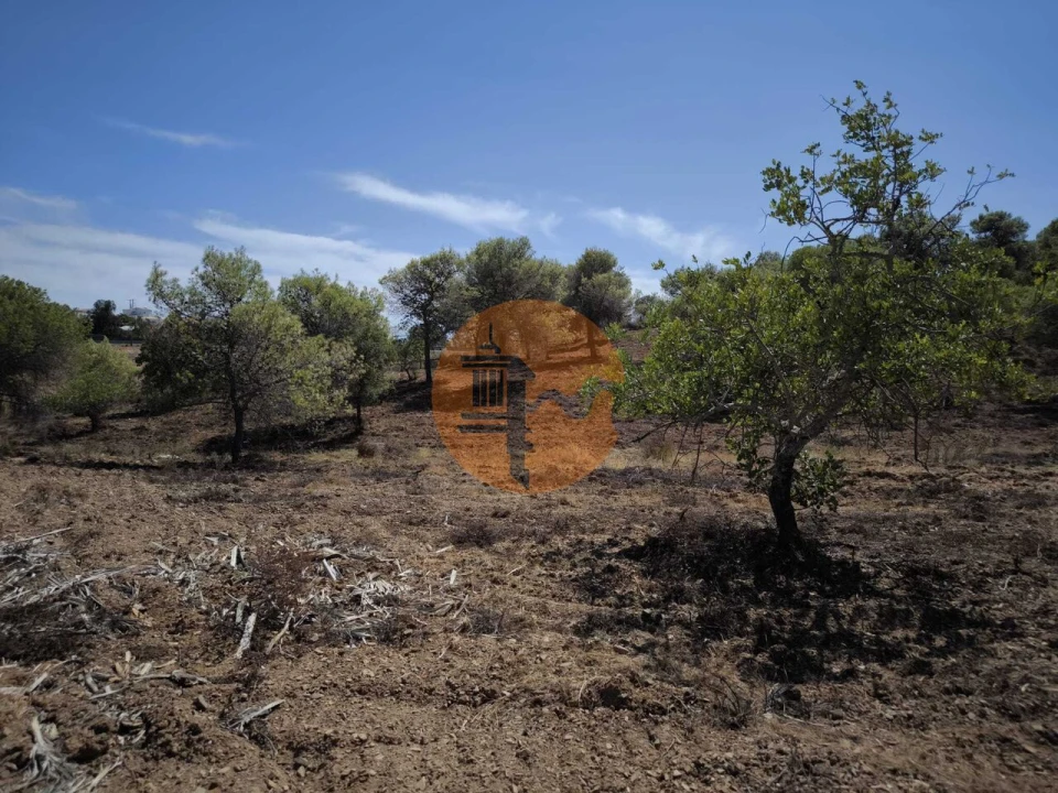 Terreno para Venda em Castro Marim Foto 8