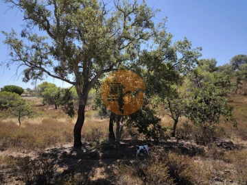 Terreno para Venda em Castro Marim