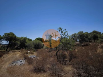 Terreno para Venda em Castro Marim