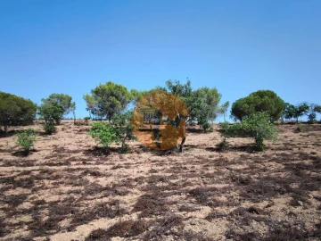 Terreno para Venda em Castro Marim
