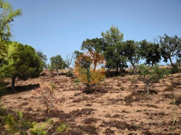 Terreno para Venda em Castro Marim