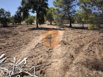Terreno para Venda em Castro Marim