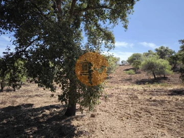 Terreno para Venda em Castro Marim