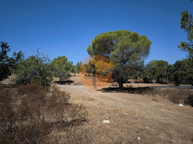 Terreno para Venda em Castro Marim Foto 9