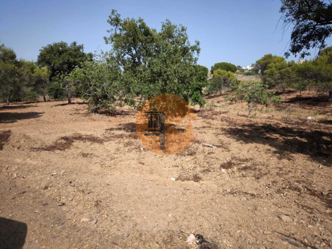 Terreno para Venda em Castro Marim Foto 12