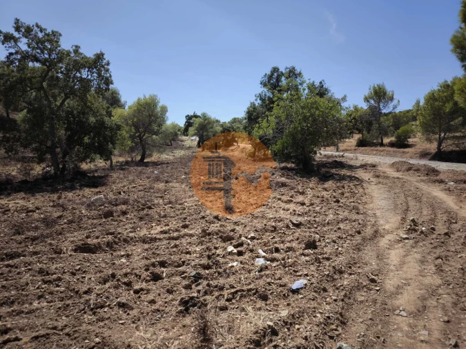 Terreno para Venda em Castro Marim Foto 6