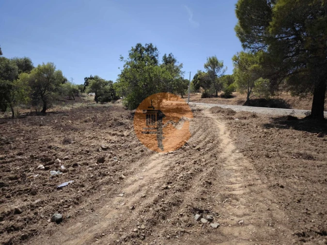 Terreno para Venda em Castro Marim Foto 7