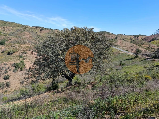 Terreno para Venda em Odeleite Foto 3