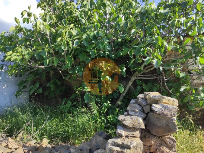 Moradia T3 para Venda em Odeleite Foto 22