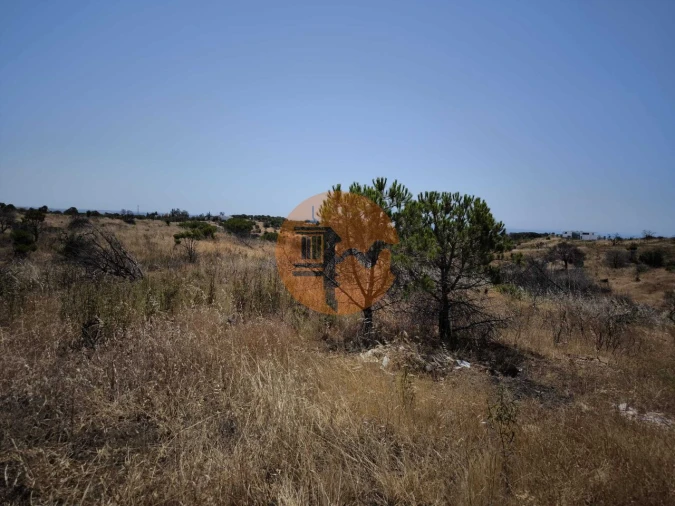 Terreno para Venda em Vila Nova de Cacela Foto 31