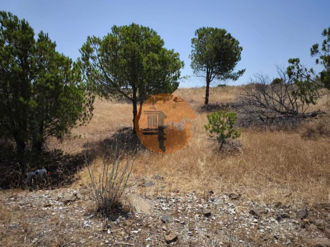 Terreno para Venda em Vila Nova de Cacela Foto 19