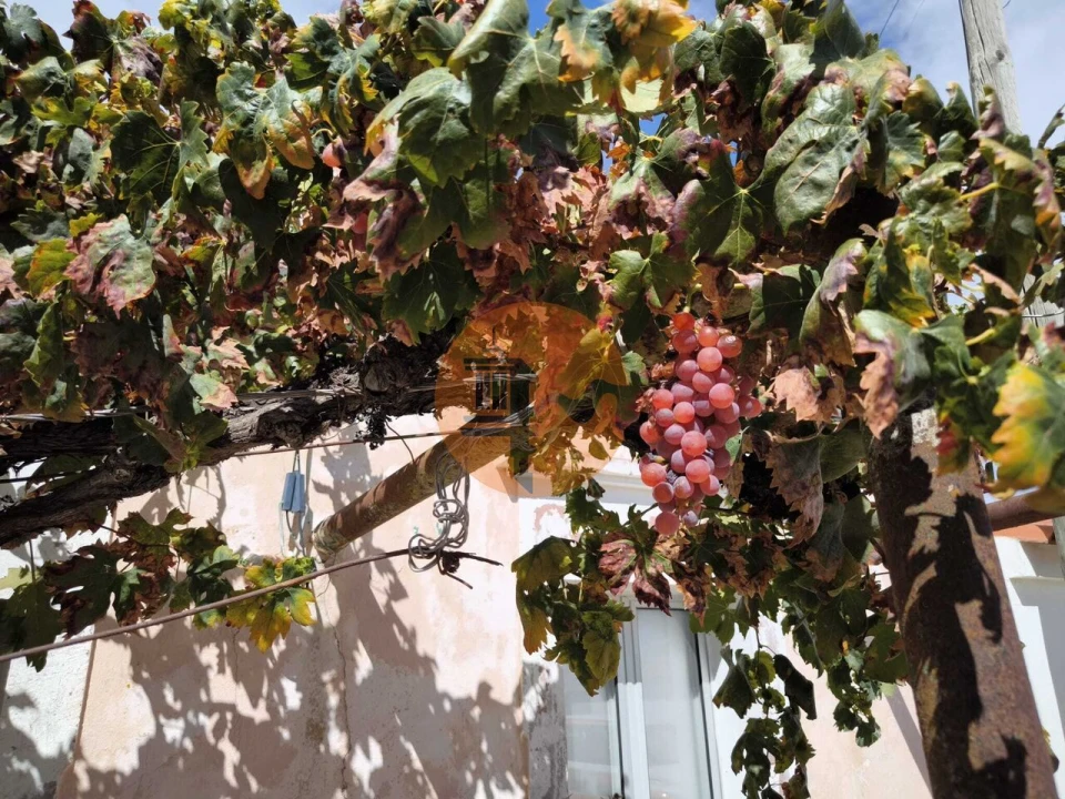 Moradia T3 para Venda em Odeleite Foto 6