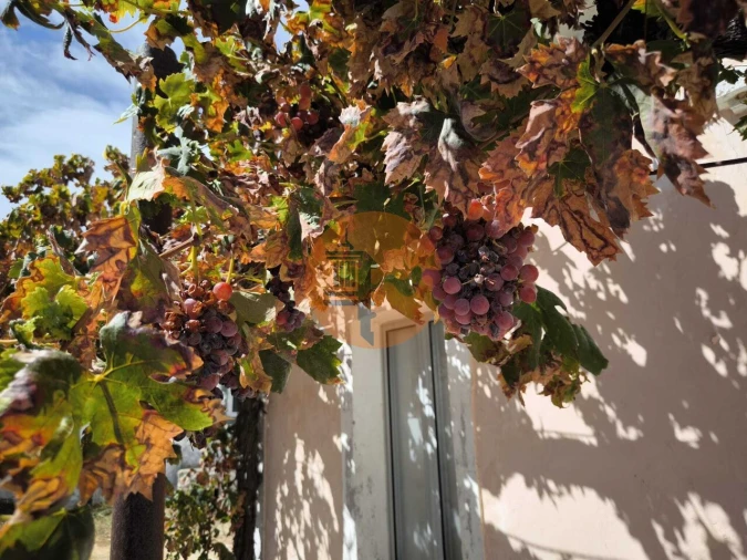 Moradia T3 para Venda em Odeleite Foto 5