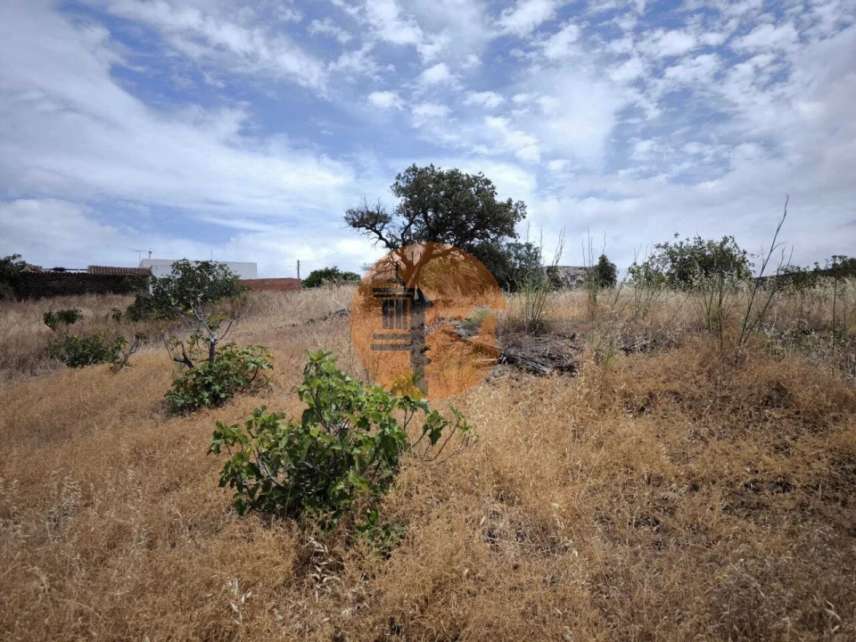 Moradia T3 para Venda em Azinhal Foto 20