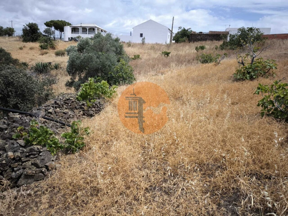 Moradia T3 para Venda em Azinhal Foto 22