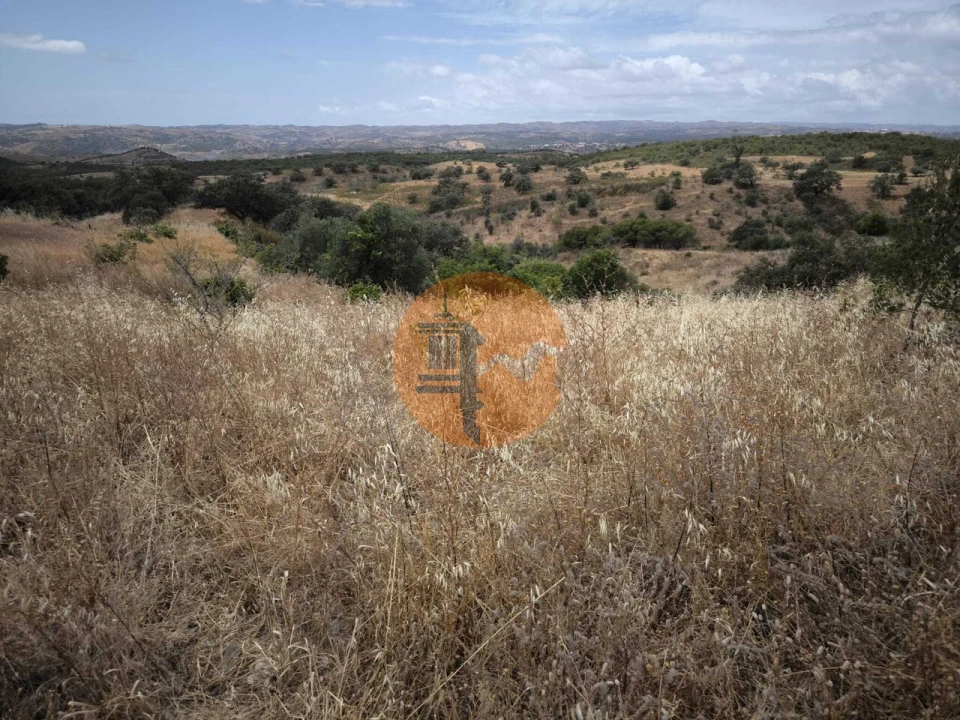 Moradia T3 para Venda em Azinhal Foto 34