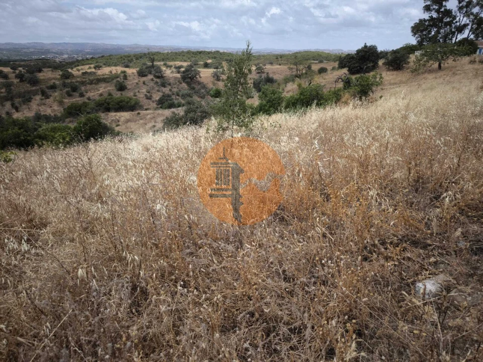 Moradia T3 para Venda em Azinhal Foto 36