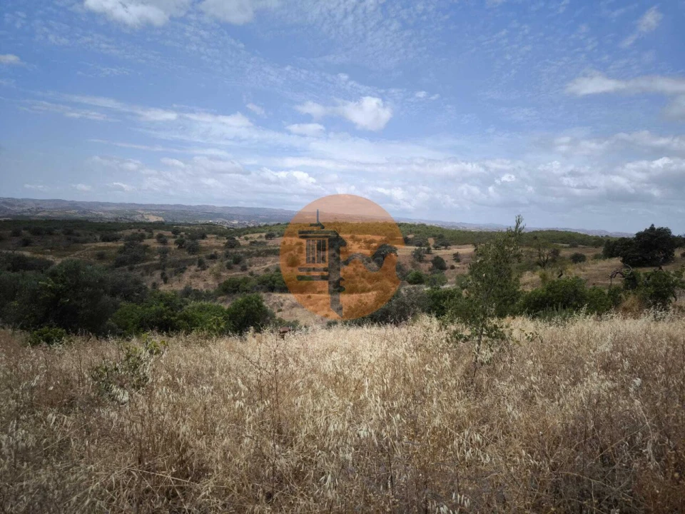 Moradia T3 para Venda em Azinhal Foto 42