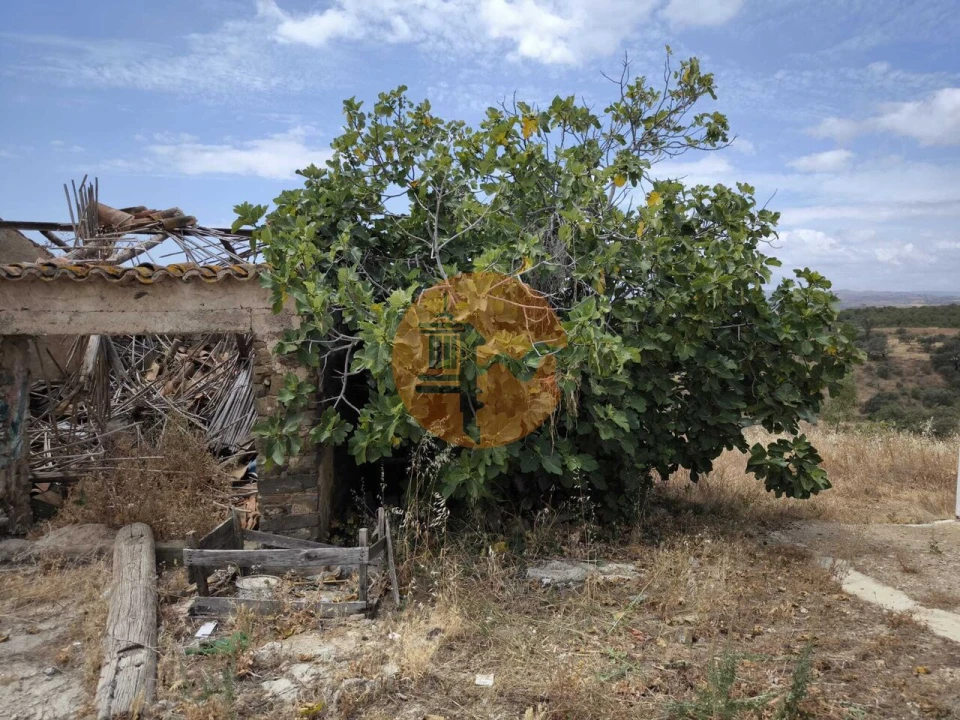 Moradia T3 para Venda em Azinhal Foto 48