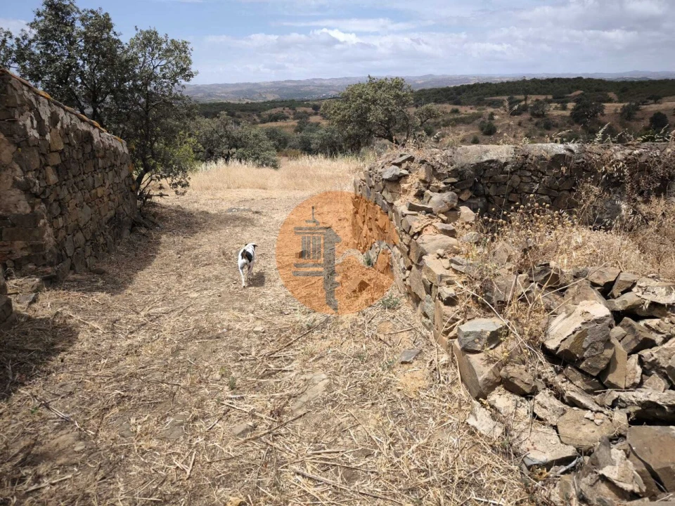 Moradia T3 para Venda em Azinhal Foto 59