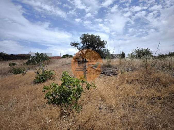 Moradia T3 para Venda em Azinhal Foto 20