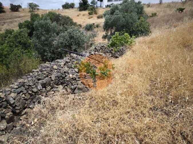 Moradia T3 para Venda em Azinhal Foto 23