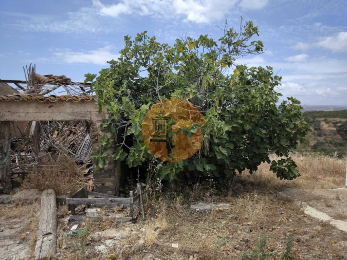 Moradia T3 para Venda em Azinhal Foto 48