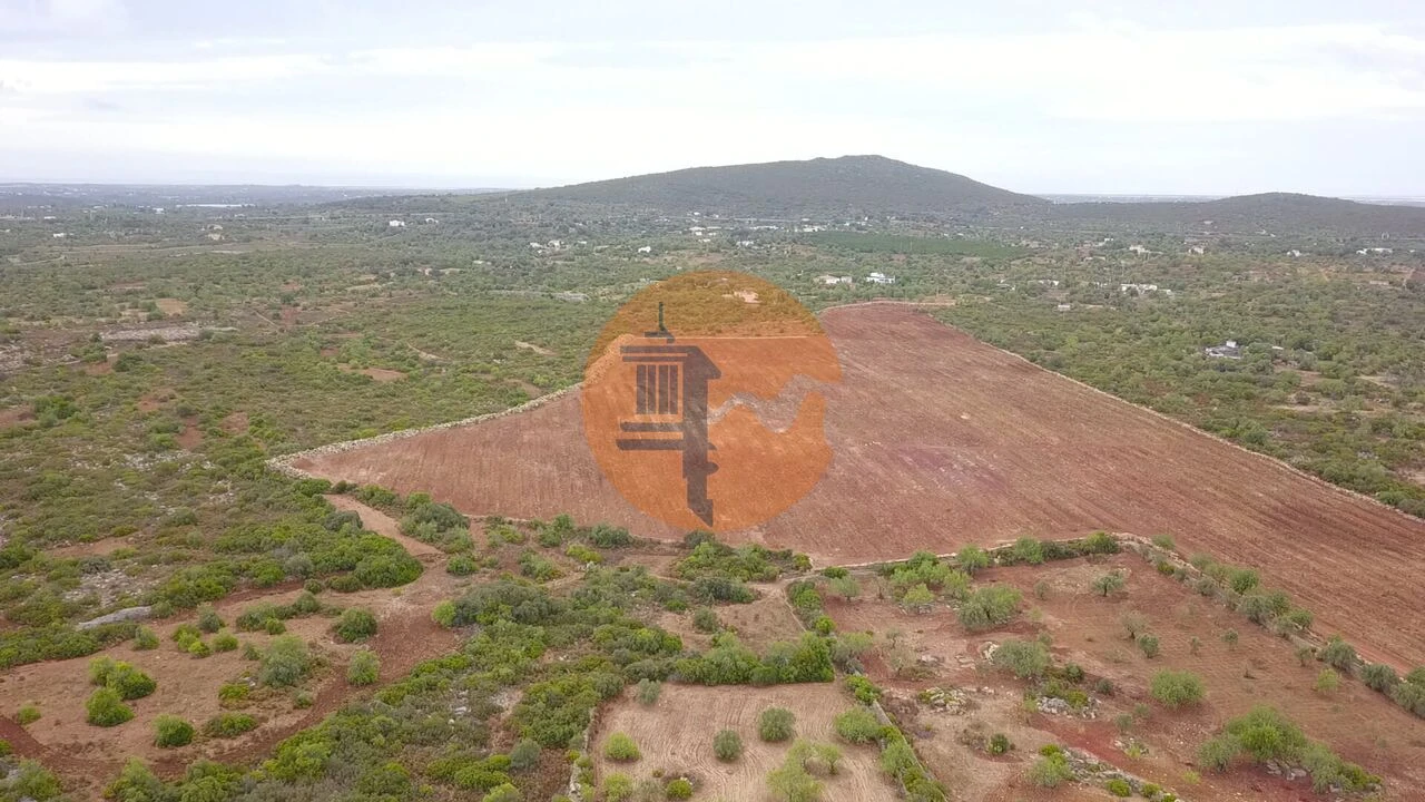 Quinta T2 para Venda em Santa Catarina da Fonte do Bispo Foto 4