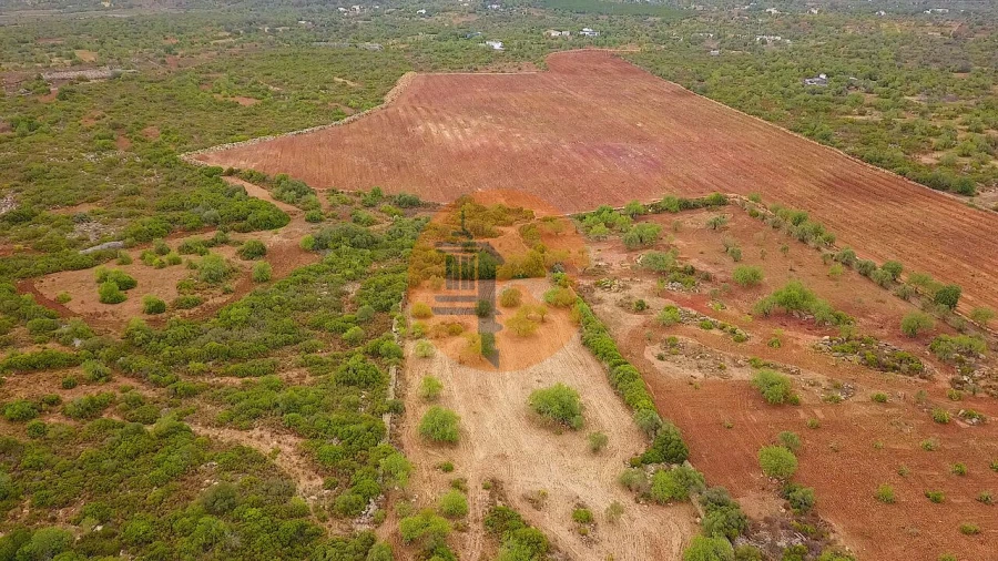 Quinta T2 para Venda em Santa Catarina da Fonte do Bispo Foto 7