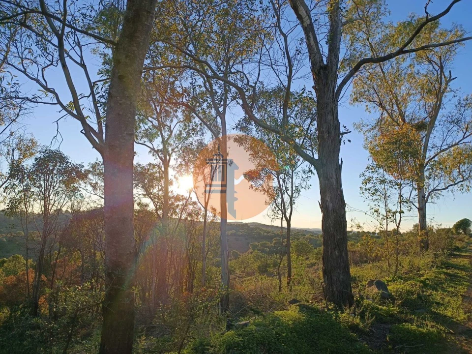 Terreno para Venda em Odeleite Foto 29