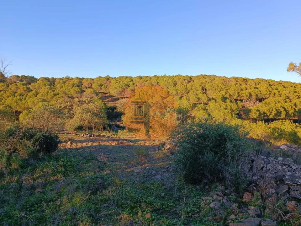 Terreno para Venda em Odeleite Foto 9