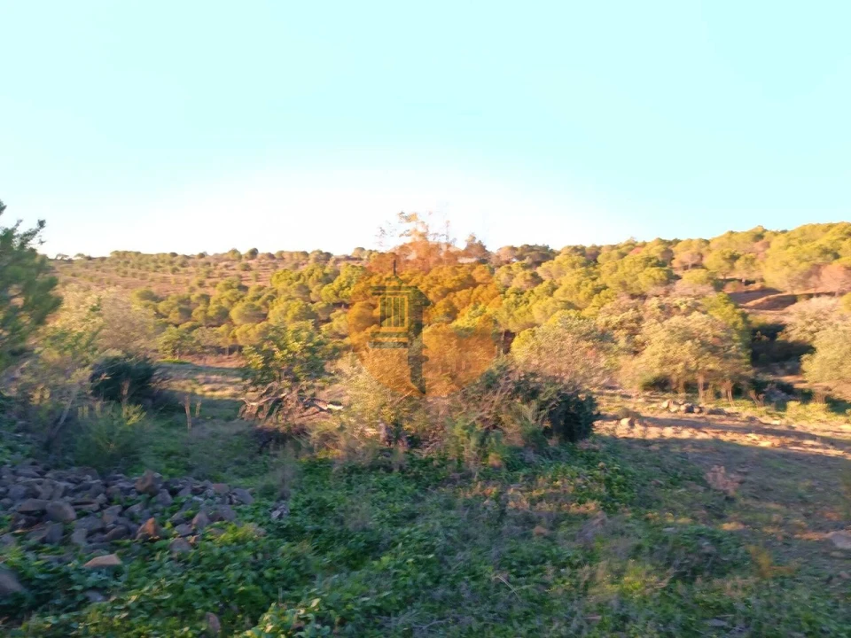 Terreno para Venda em Odeleite Foto 11