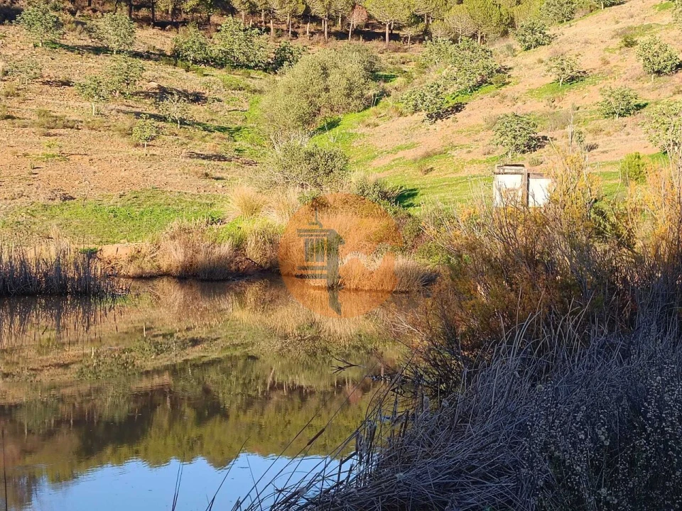 Terreno para Venda em Odeleite Foto 13
