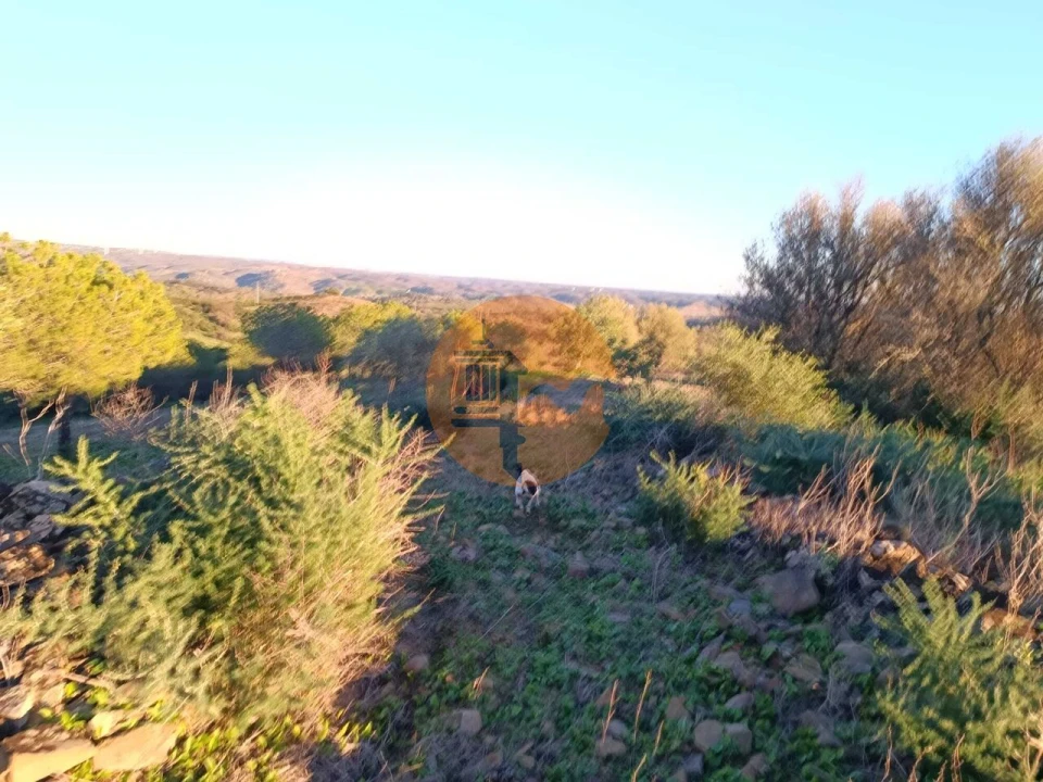 Terreno para Venda em Odeleite Foto 18