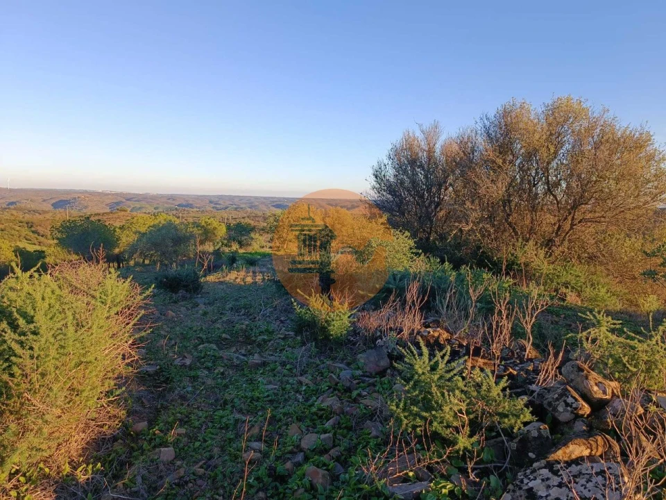Terreno para Venda em Odeleite Foto 19