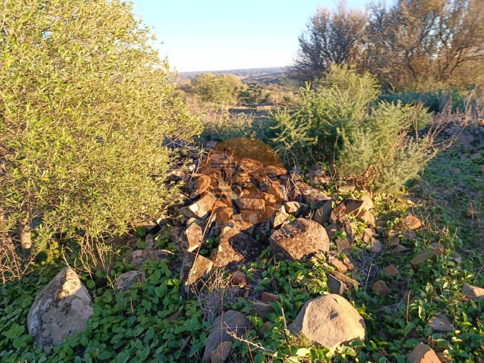 Terreno para Venda em Odeleite Foto 27