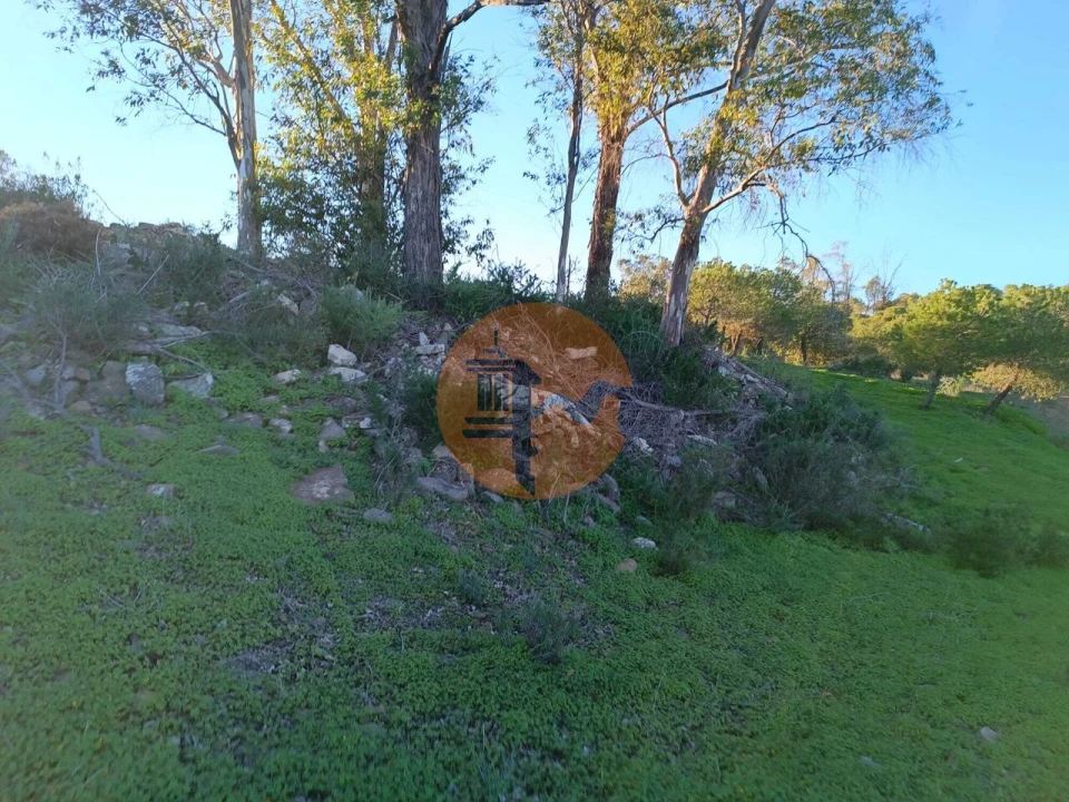 Terreno para Venda em Odeleite Foto 30