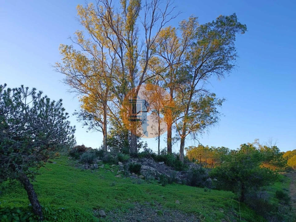 Terreno para Venda em Odeleite Foto 32