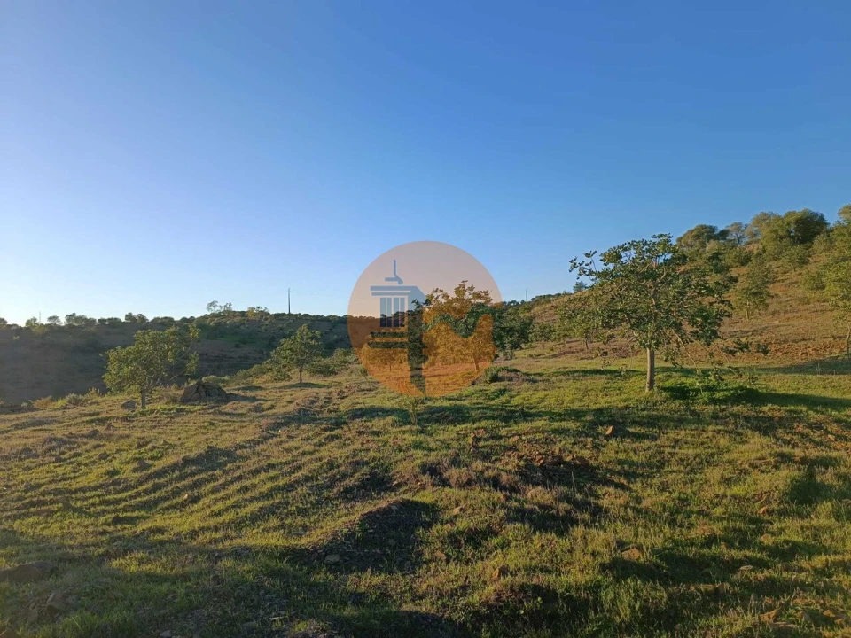 Terreno para Venda em Odeleite Foto 34