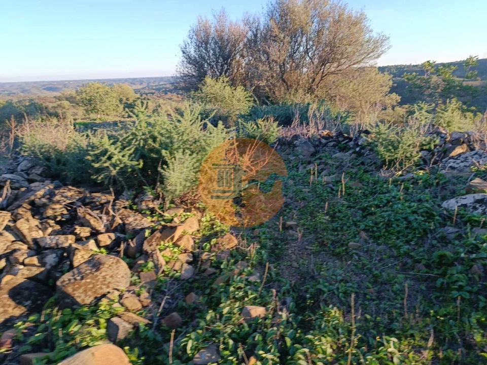 Terreno para Venda em Odeleite Foto 36