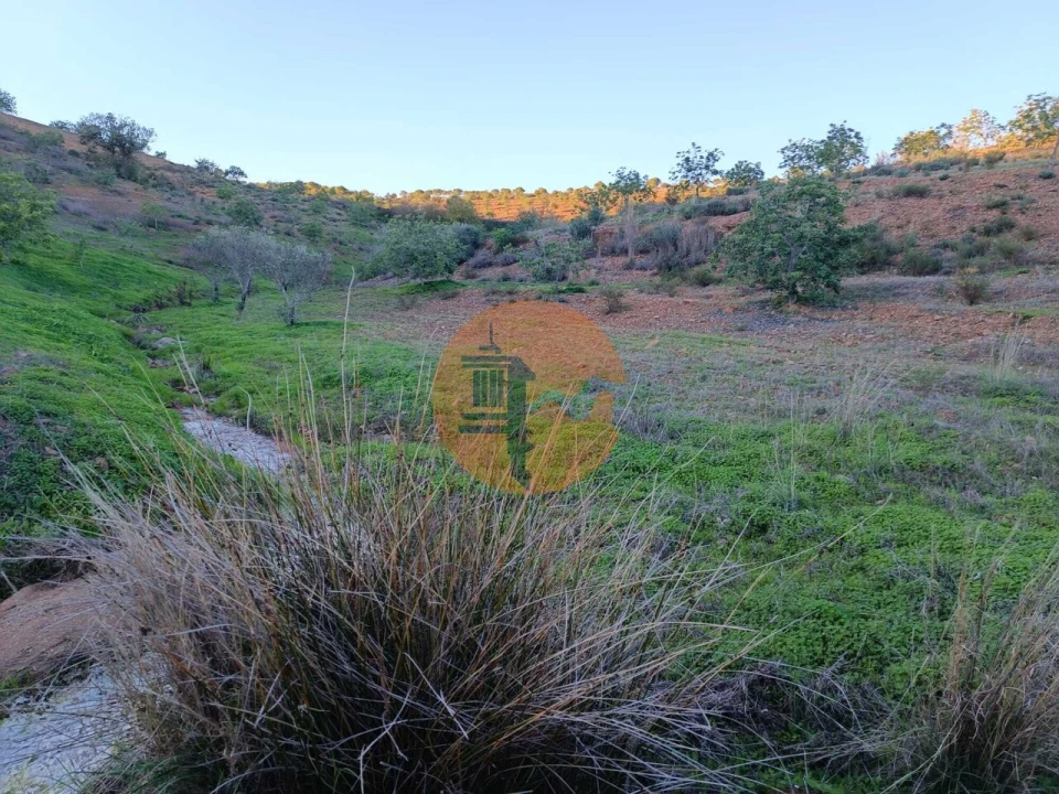 Terreno para Venda em Odeleite Foto 38