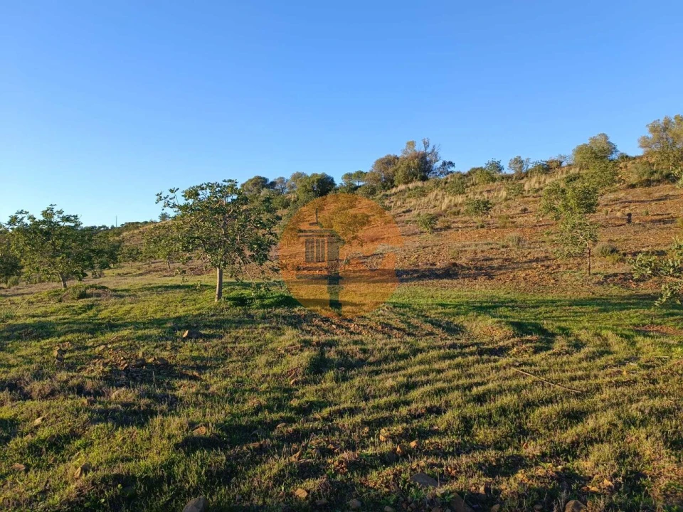 Terreno para Venda em Odeleite Foto 41