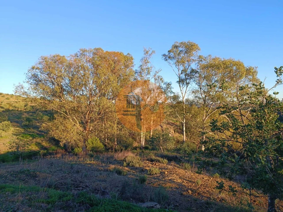 Terreno para Venda em Odeleite Foto 50