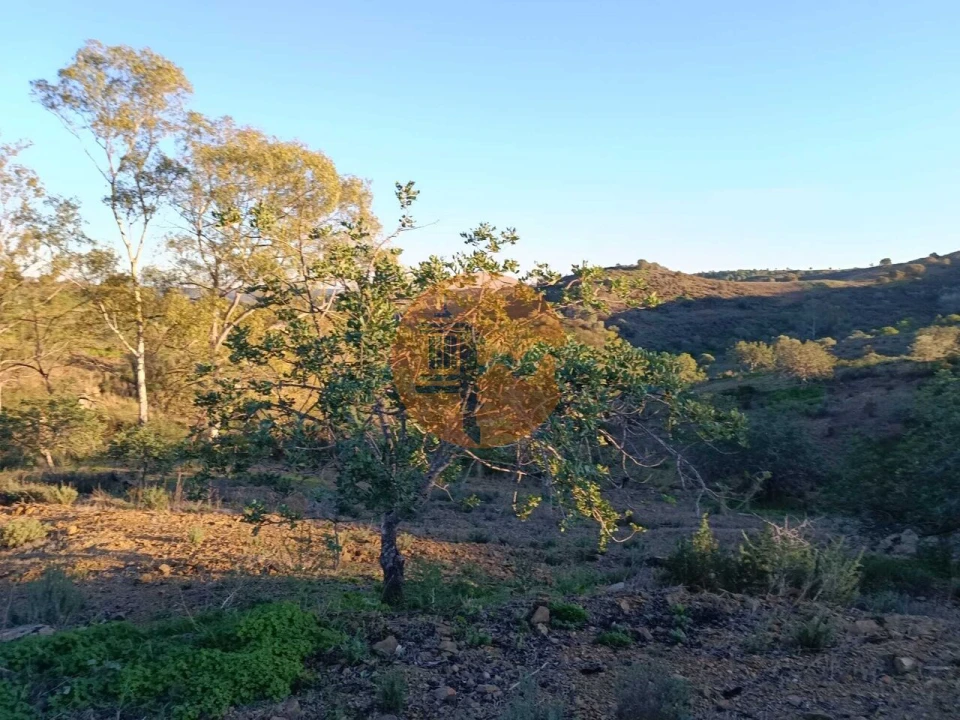 Terreno para Venda em Odeleite Foto 51