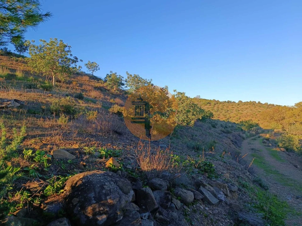 Terreno para Venda em Odeleite Foto 52